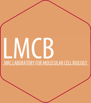 MRC Lmcb UCL