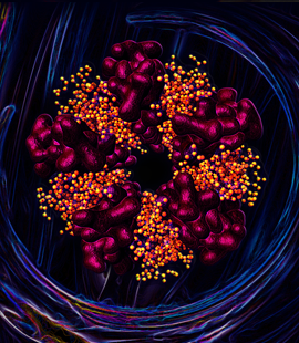 Research Images Art UCL Nobel Chemistry