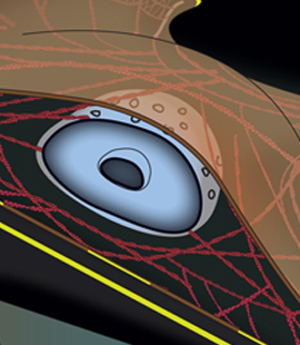 Chierico Battaglia membrane cytoskeleton