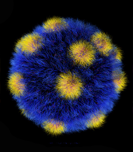 Battaglia Polymerosome Surface Topology