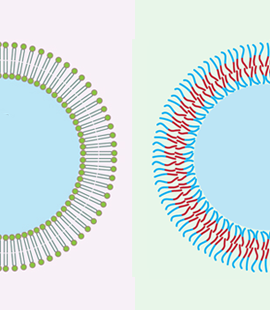 Battaglia Cheirico encapsulation liposomes polymersomes