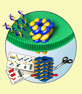 Howorka DNA Nanopores